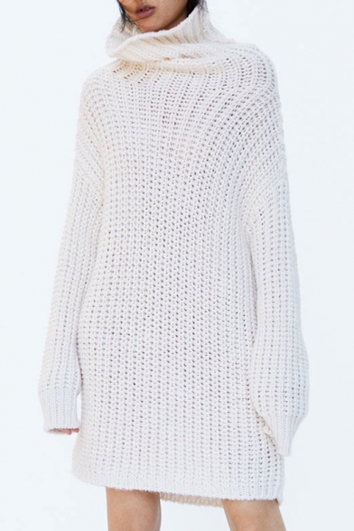 Chic High Neck Long Sleeve Plain Midi Sweater Dress