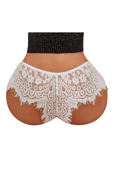 Sheer Lace Floral Pattern Eyelash Detail Underwear Panty