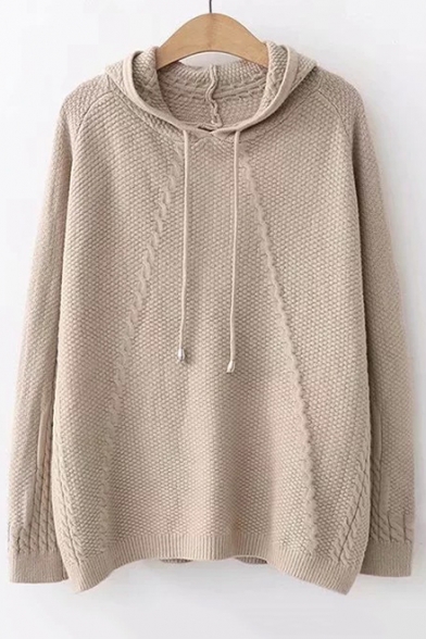 Chic Long Sleeve Knitting Twist Plain Leisure Hooded Sweater