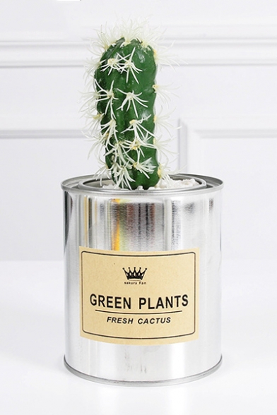 Gift Desktop Faux Cactus Can Pot