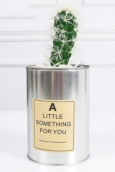Plastic Succulent Cactus With Can Design Pot