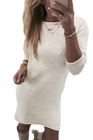 Basic Round Neck Plain Long Sleeve Mini Sweater Dress