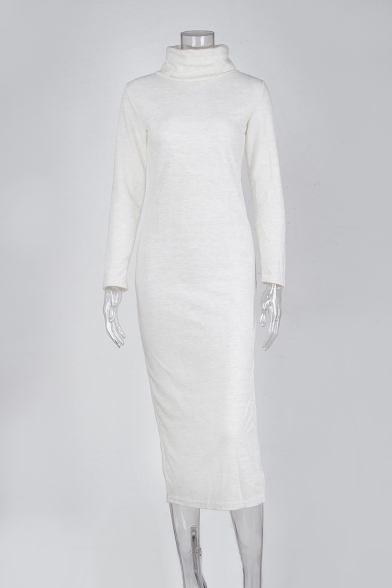 Winter's Long Sleeve Turtleneck Split Side Solid Maxi Bodycon Sweater Dress for Women