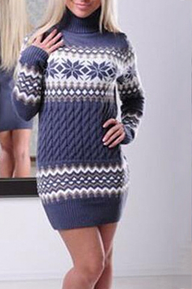 Cozy Long Sleeve Turtleneck Colorblock Tunics Sweater