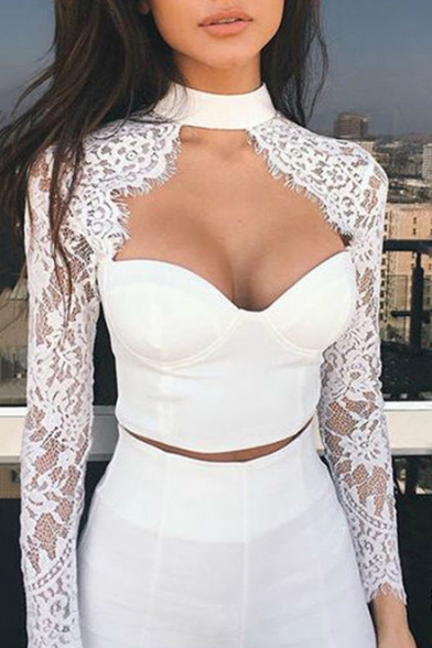 Women's Sexy Sheer Eyelash Lace Long Sleeve Cropped Padded Top