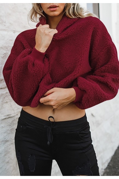 New Arrival Long Sleeve Plain Leisure Cozy Cropped Hoodie
