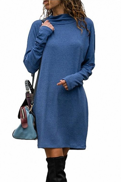 Stylish Long Sleeve High Neck Plain Mini Shift Dress