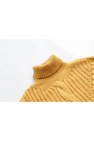 Winter's Turtleneck Long Sleeve Warm-Up Basic Solid Cable-Knitted Sweater