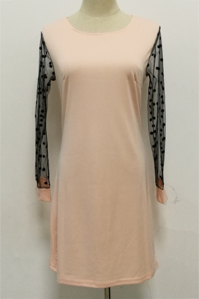 Lace Patched Sheer Long Sleeve Round Neck Plain Sheath Mini Dress