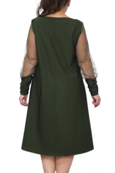 Popular Sheer Long Sleeve V Neck Plain Midi Swing Dress