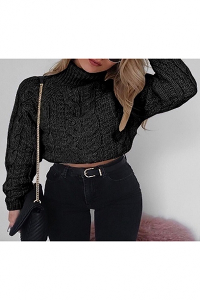 Leisure Long Sleeve High Neck Cable Knit Plain Cropped Sweater