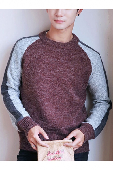 Fashionable Guys Color Block Crewneck Long Sleeve Pullover Sweater
