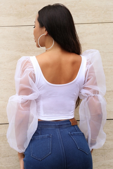 New Trendy Basic Scoop Neck Mesh Panel Long Sleeve Slim Fit Cropped T-Shirt For Women