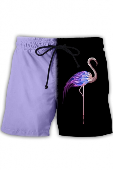 Cool Flamingo Pattern Drawstring Waist Sport Loose Casual Athletic Shorts for Guys