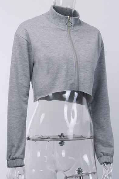 New Fashion Simple Basic Gray Plain Long Sleeve Zip Up Cropped Sweatshirt