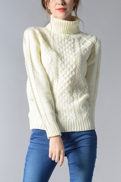 Womens Simple Plain Cable Knit Roll Neck Long Sleeve Knitted Sweater