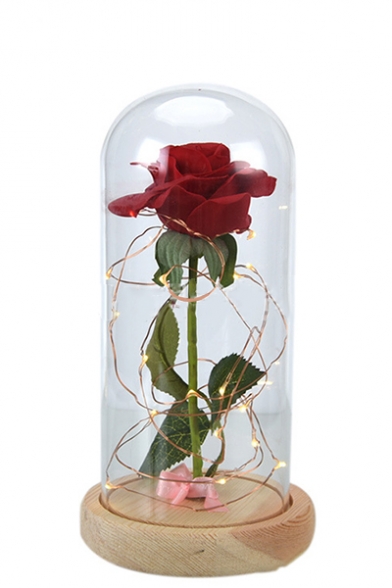 Enchanted Handmade Red Rose Jar Prop LED String Lights Embellished with Exquisite Gift Box