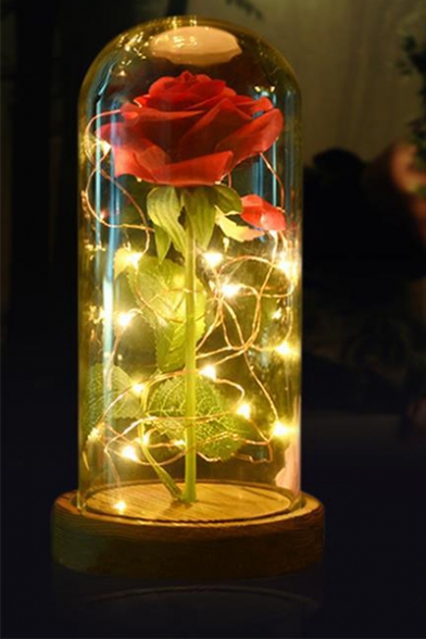 Enchanted Handmade Red Rose Jar Prop LED String Lights Embellished with Exquisite Gift Box