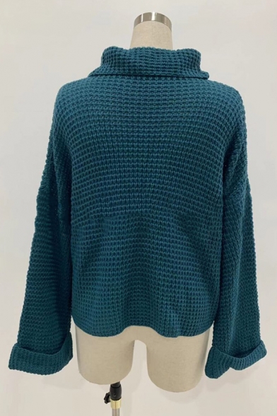 Womens Popular Solid Color Roll Neck Bell Sleeve Loose Fit Knitted Casual Pullover Sweater