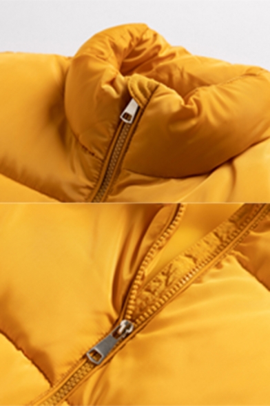 Winter Popular Plain Stand Collar Long Sleeve Zip Up Short Down Coat for Women