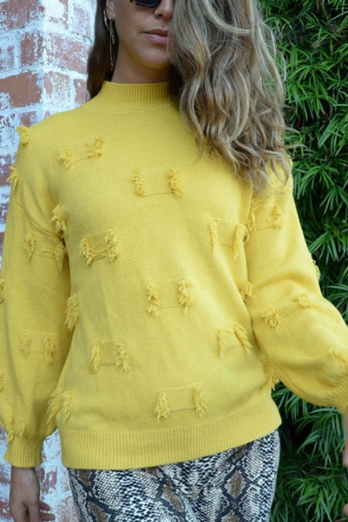 Plain Designer Tassel Applique Embellished Long Sleeve High Neck Regular Pullover Sweater