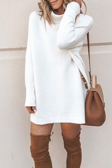 Womens Winter Stylish Solid Color Roll Neck Long Sleeve Longline Loose Midi Daily Dress