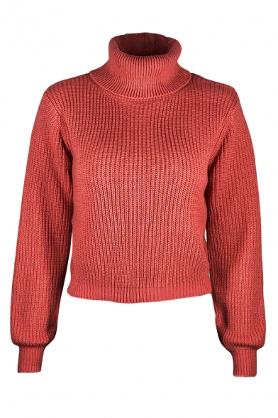 Girls Simple Solid Color Roll Neck Long Sleeve Cropped Casual Warm Chunky Sweater