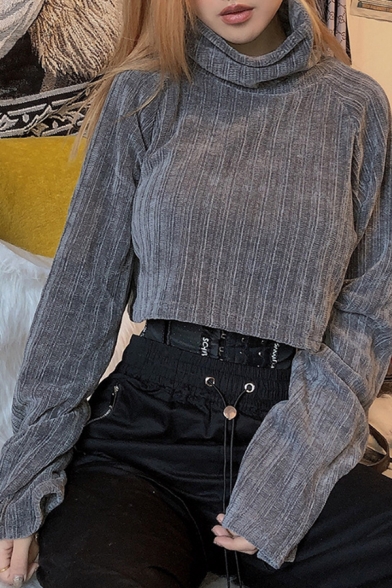 Womens Fashionable Plain Gray Turtle Neck Long Sleeve Oversized Cropped Pullover Sweatshirt
