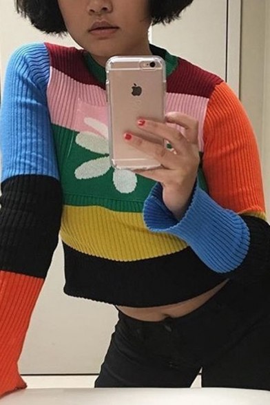 Cute Daisy Printed Color Block Stripes Long Sleeve Ribbed Knit Slim Fit Casual Pullover Sweater