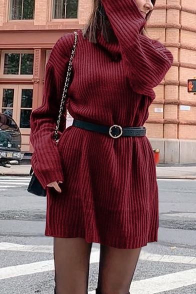 Winter Chic Turtle Neck Long Sleeve Loose Plain Ribbed Knit Pullover Sweater Mini Dress for Women