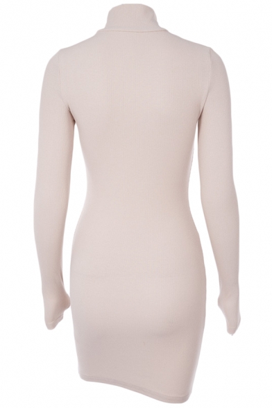 Womens Stylish Plain Long Sleeve High Collar Mini Bodycon Dress