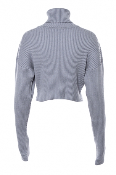 Autumn New Fashion Light Blue Turtle Neck Long Sleeve Cropped Casual Pullover Sweater