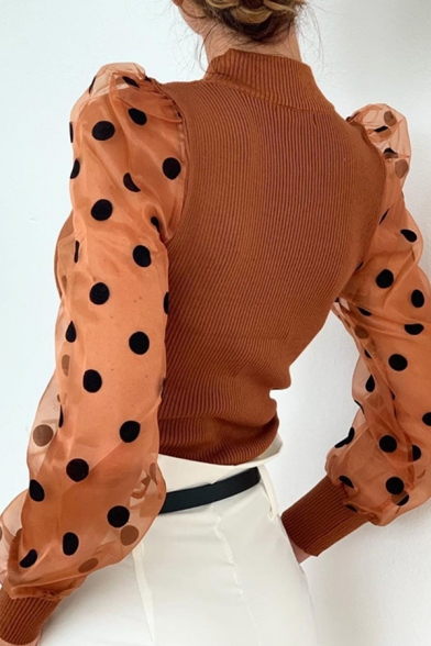 Womens Chic Polka Dot Pattern Mesh Panel Long Sleeve High Collar Slim Fit Pullover Sweater