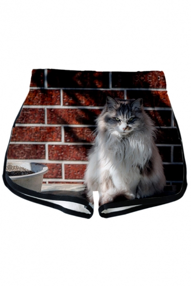 Fancy Cat 3D Printed Short Sleeve Cropped Top with Elastic Waist Dolphin Sports Shorts Co-ords