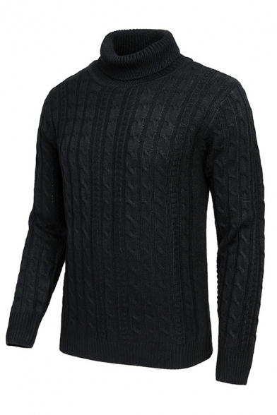 Mens Popular Plain Long Sleeve Turtle Neck Textured Knitted Pullover Warm Sweater