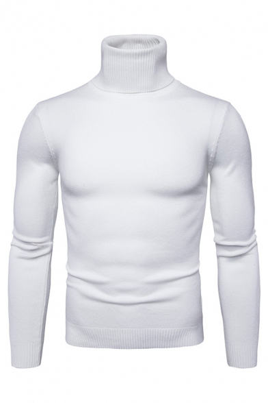 Mens Simple Plain Roll Neck Long Sleeve Slim Fit Pullover Sweater
