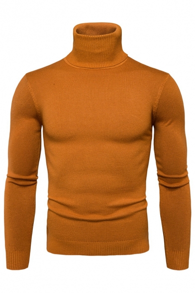 Mens Simple Plain Roll Neck Long Sleeve Slim Fit Pullover Sweater