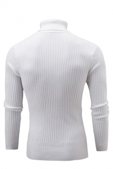 Mens Fashionable Plain Long Sleeve Turtleneck Casual Rib Fitted Knit Pullover Sweater Top