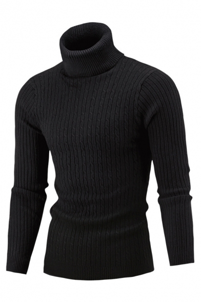 Mens Fashionable Plain Long Sleeve Turtleneck Casual Rib Fitted Knit Pullover Sweater Top