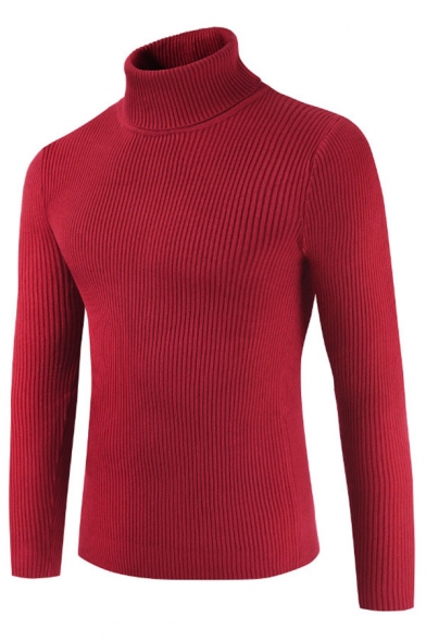 Mens Simple Long Sleeve Turtle Neck Casual Plain Ribbed Knit Slim Fit Pullover Sweater