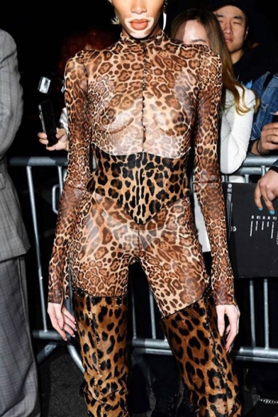 Ladies' Brown Long Sleeve Mock Neck Leopard Printed Zip Back Semi-Sheer Ankle Skinny Jumpsuit