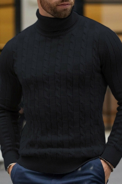 Metrosexual Men's Plain High Neck Long Sleeve Cable Knitted Slim Fit Pullover Sweater