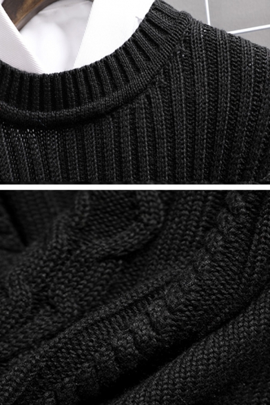 Unique Cable Knit Long Sleeve Round Neck Slim Casual Pullover Sweater for Men