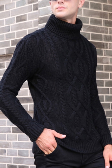 Men S Long Sleeves Turtle Neck Slim Fitted Cable Knit Casual Sweater Beautifulhalo Com