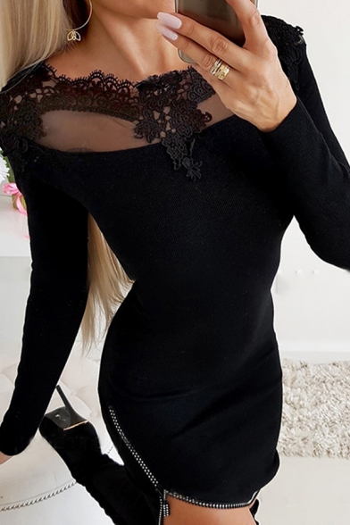 Sexy Pretty Black Long Sleeve Round Neck Mesh Panel Lace Trim Zipper Hem Mini Bodycon Dress for Ladies