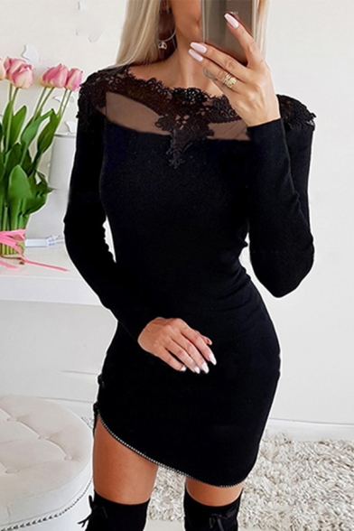 Sexy Pretty Black Long Sleeve Round Neck Mesh Panel Lace Trim Zipper Hem Mini Bodycon Dress for Ladies