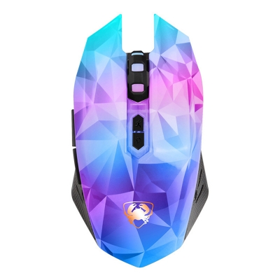 computer mouse