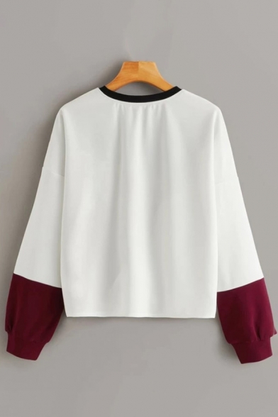 Cool Colorblock Long Sleeve Crew Neck Relaxed Fitted Pullover Sweatshirt