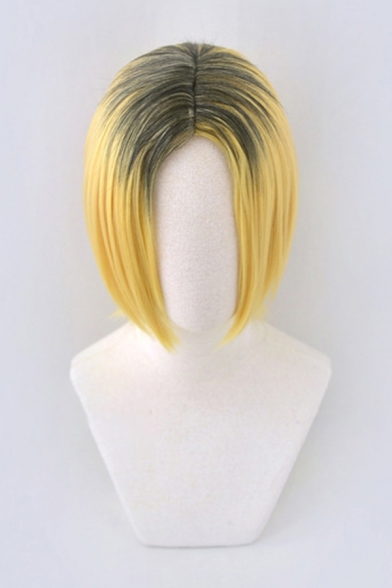 Fashionable Hair Wig Cosplay Ombre Color High-Temperature Fiber Short Straight Hair Wig