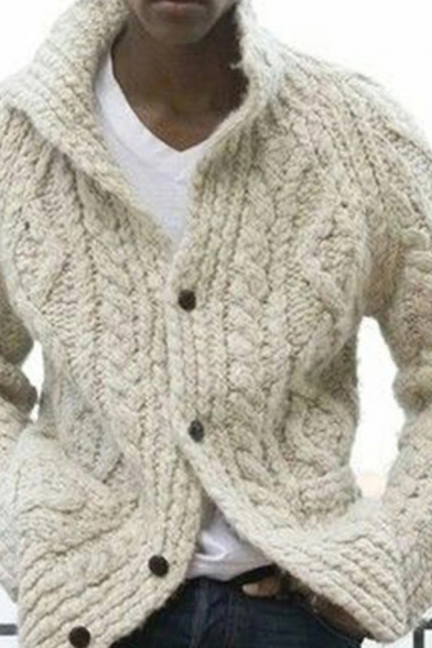 Mens Cardigan Creative Solid Color Cable Knitted Button Fly Long Sleeve Regular Fit Turn-down Collar Cardigan